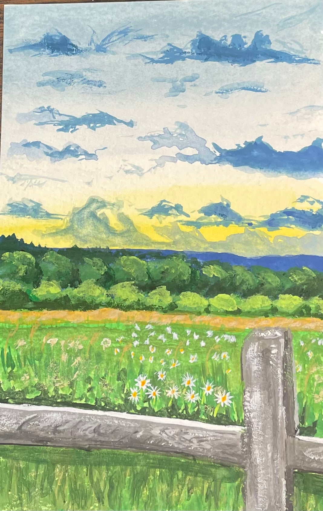 Field of Daisies
