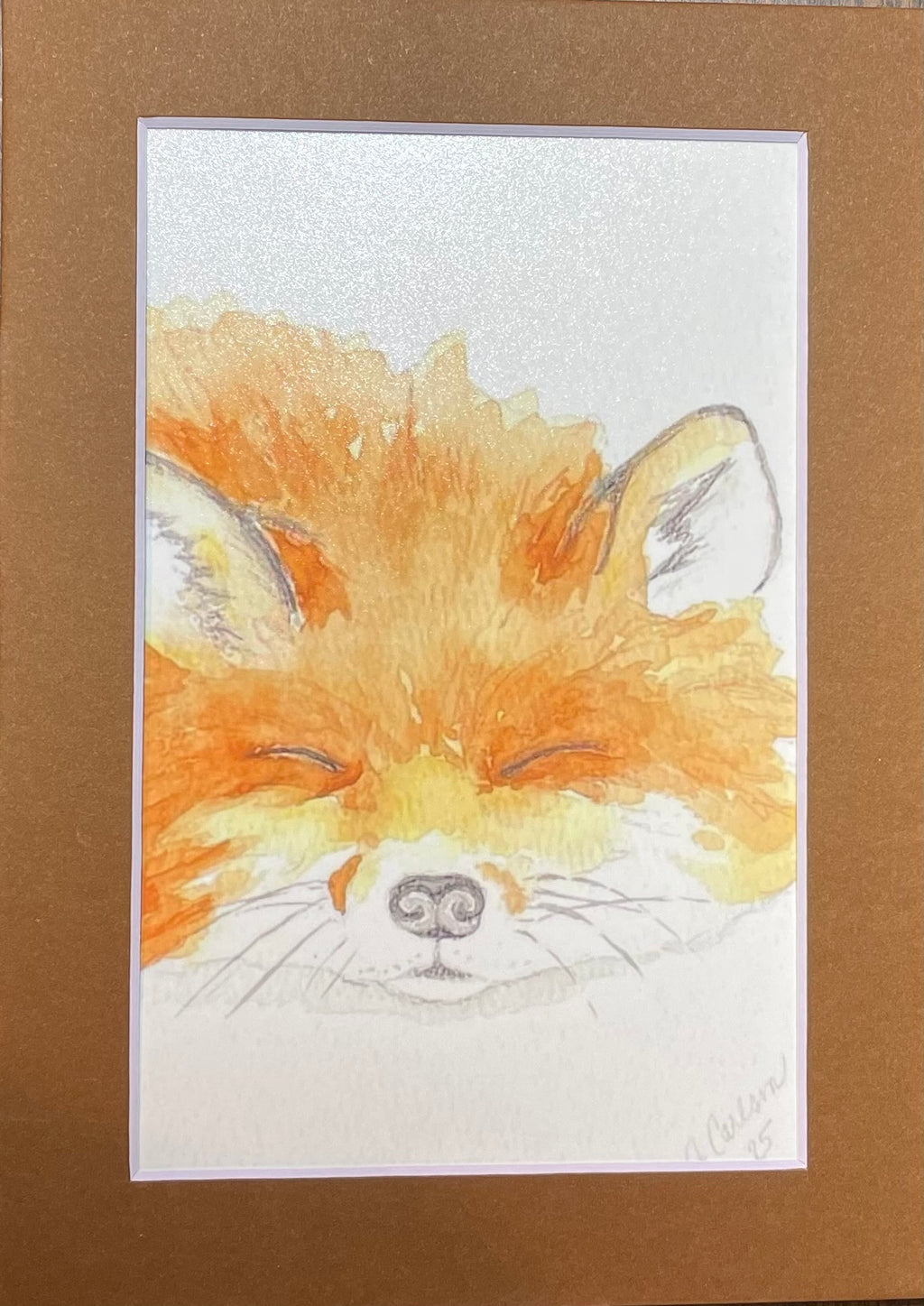 Sleeping fox
