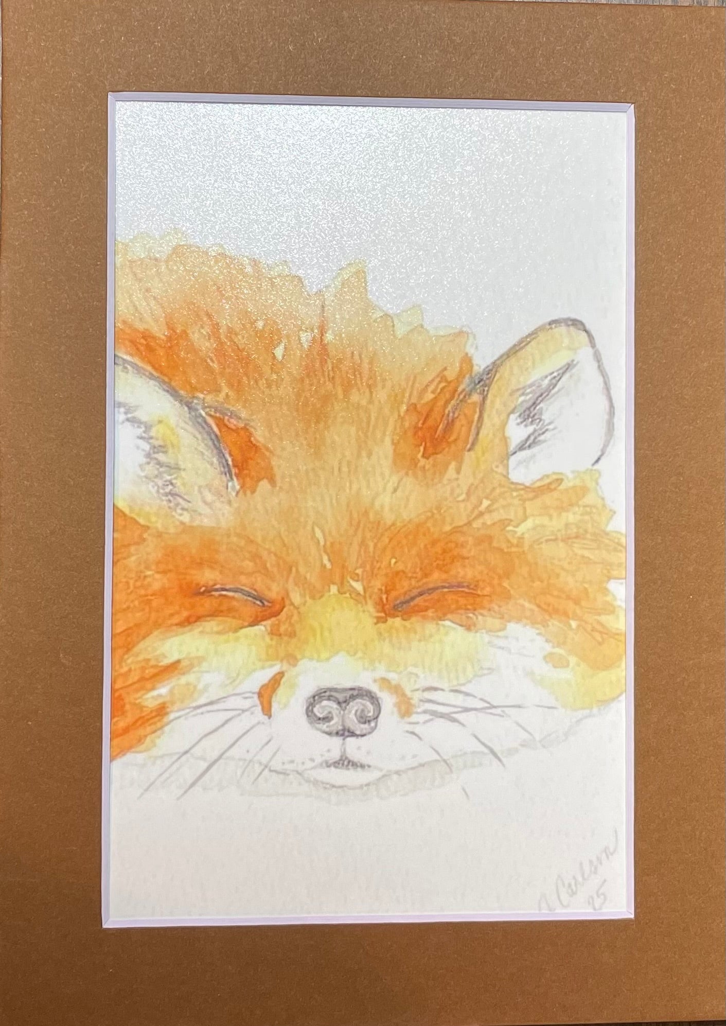 Sleeping fox