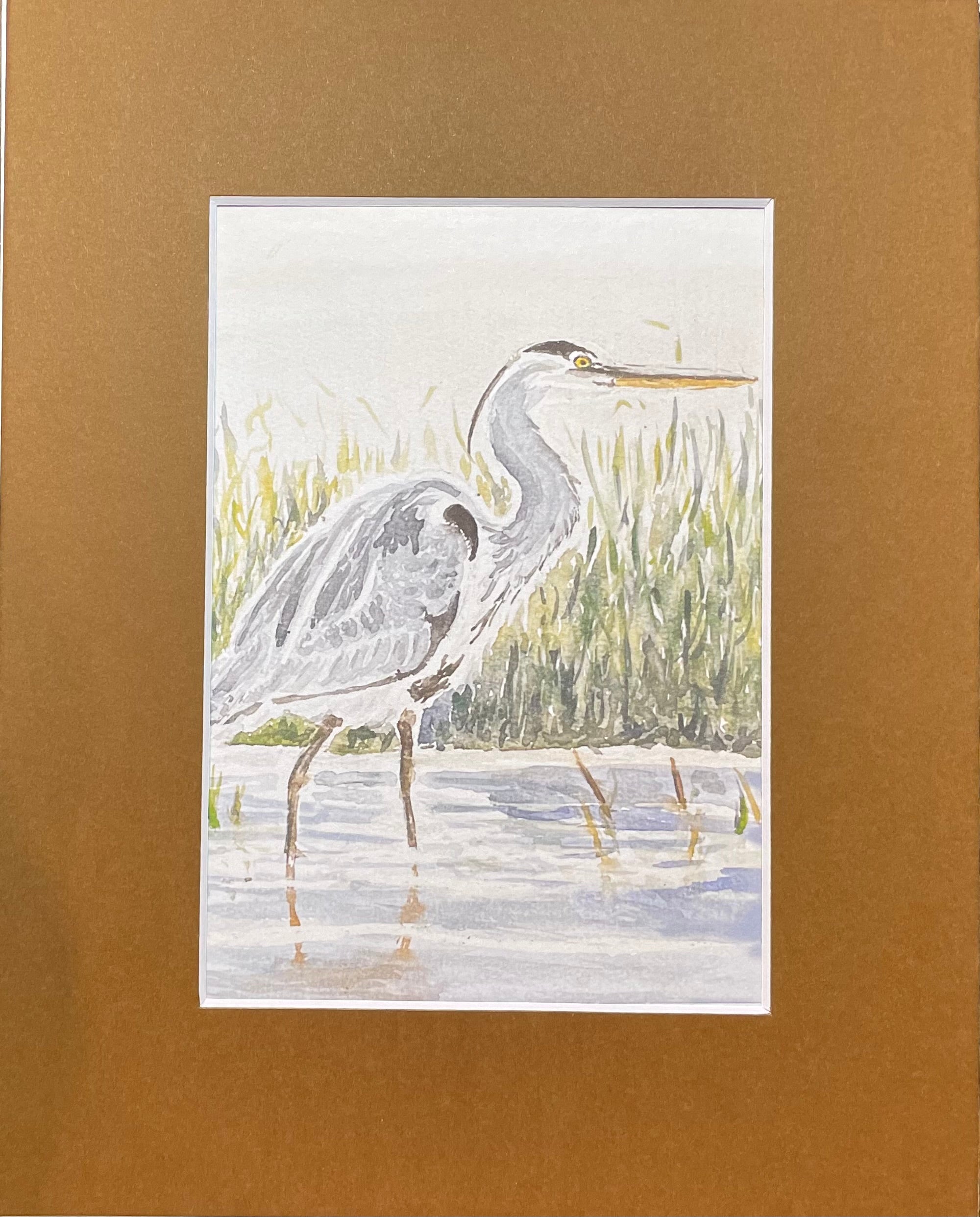 Marsh - Great Blue Heron