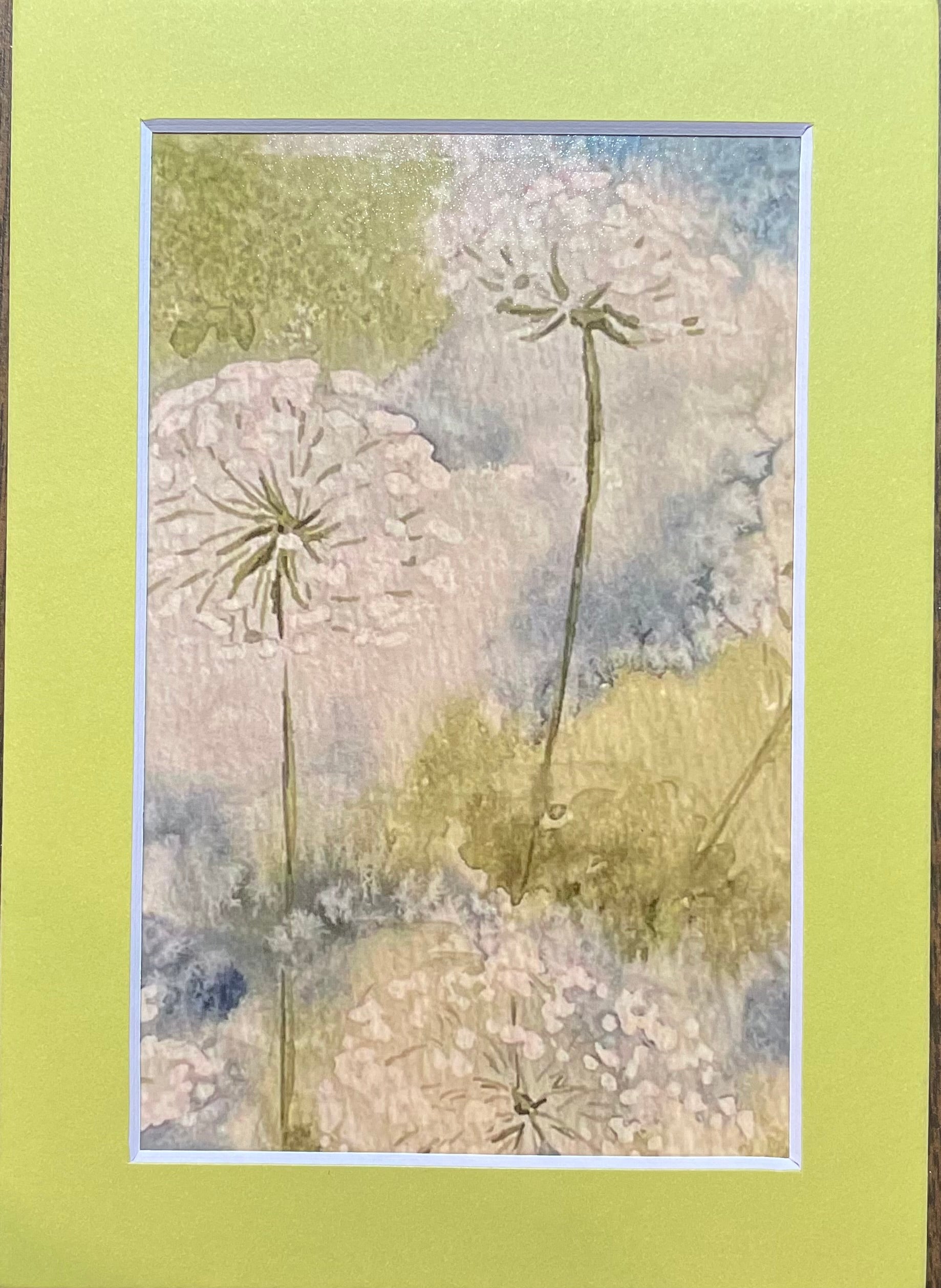 Simply fluff -Dandelion