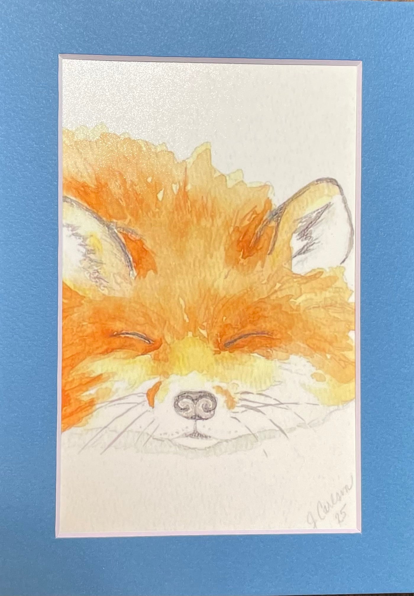Sleeping fox