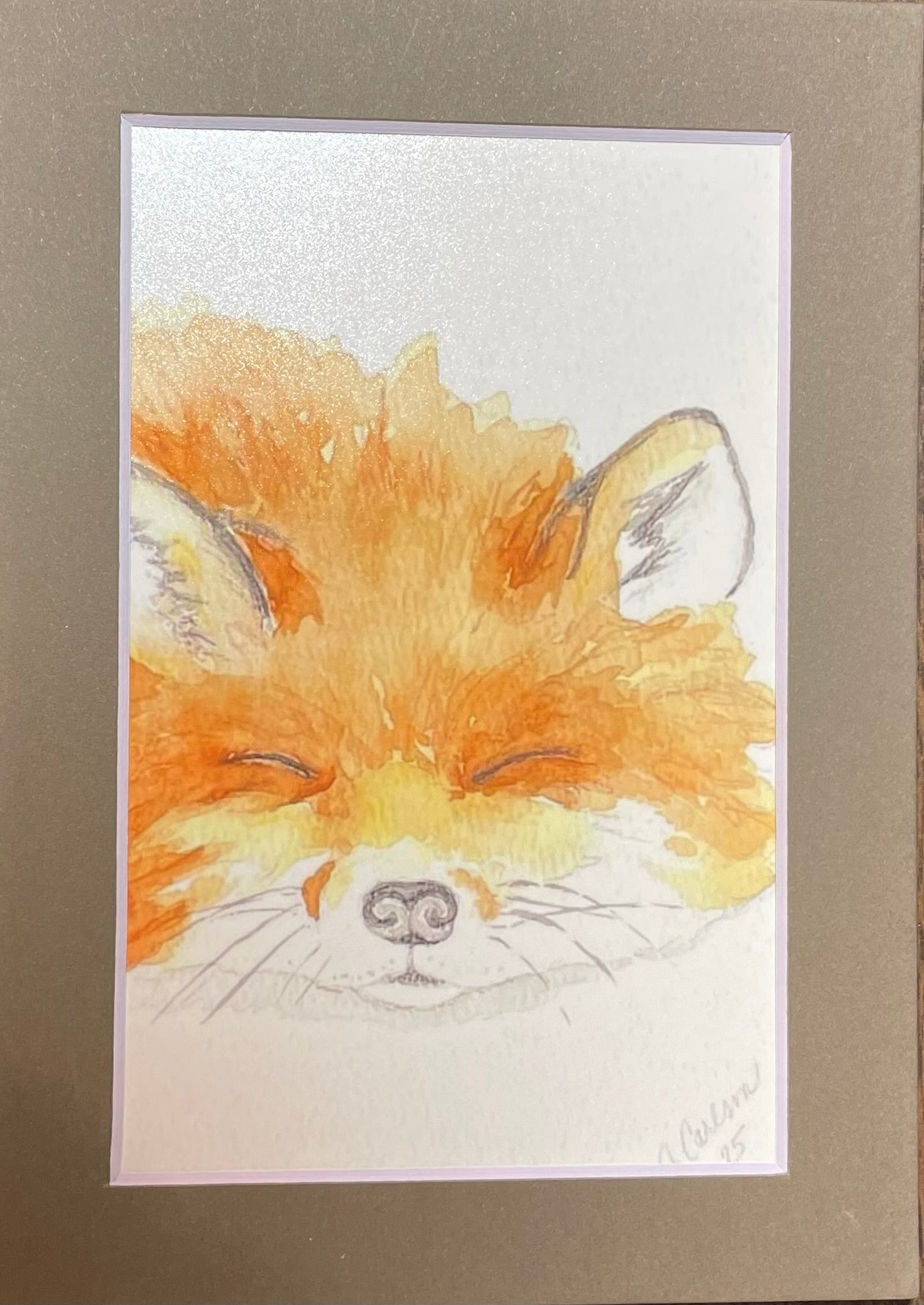 Sleeping fox