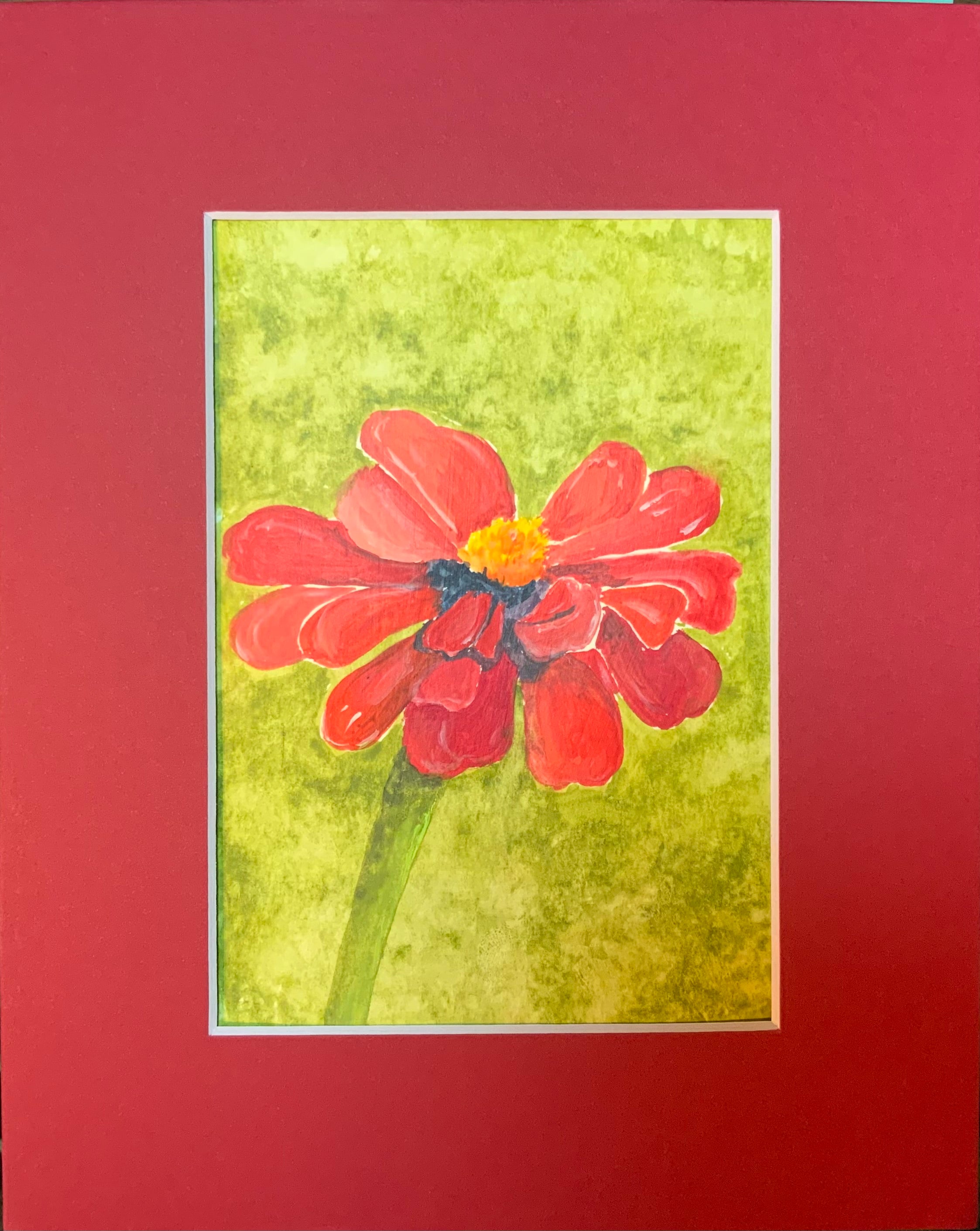 Red zinnia