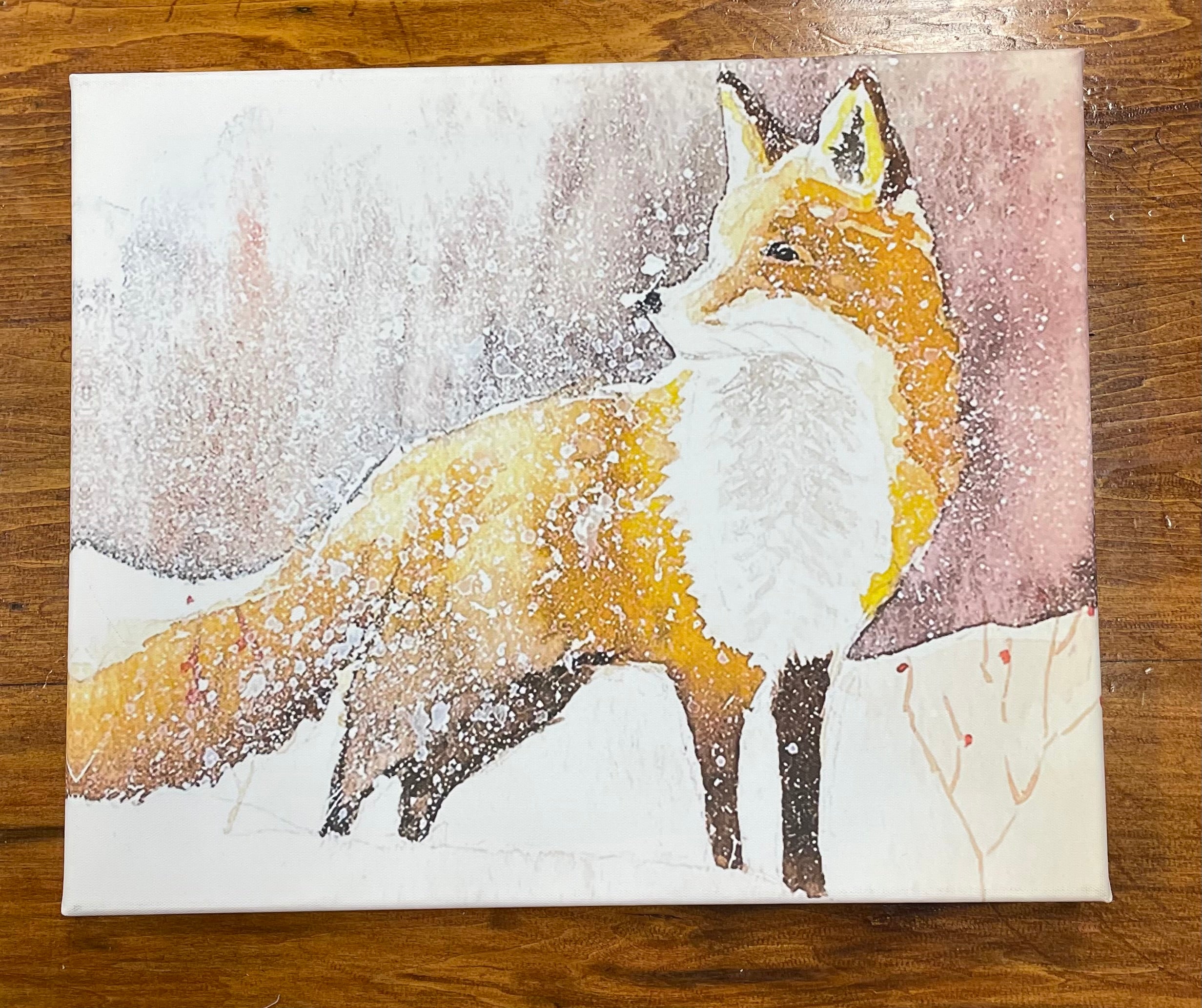 Snowy Fox Canvas