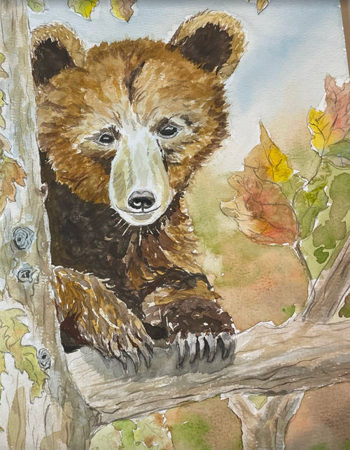 Bear in tree - matted